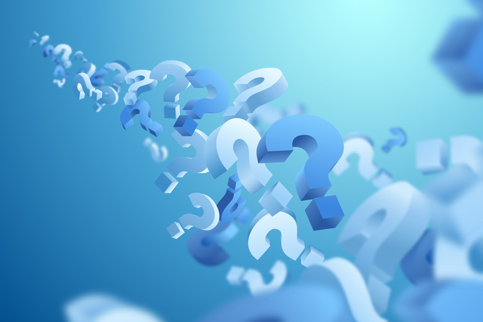 aboiements-chiens-loi-sanctions