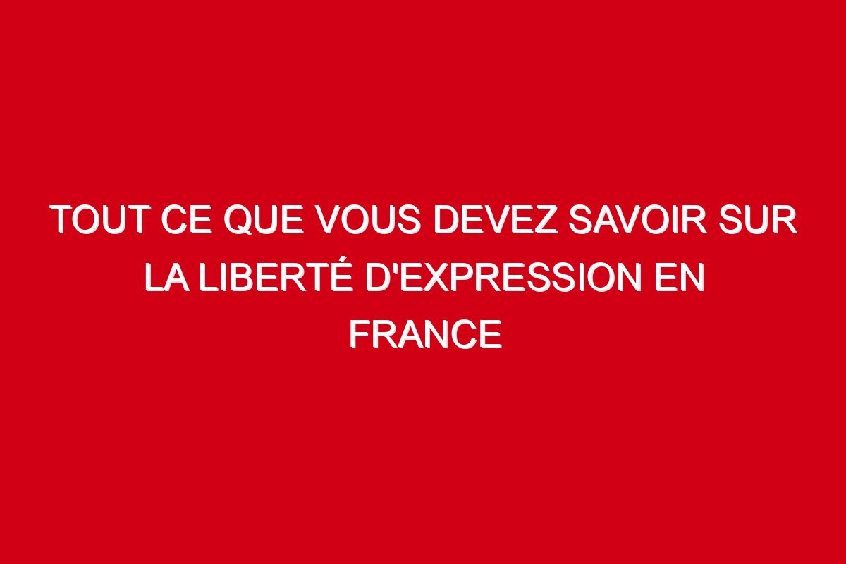 tout ce que vous devez savoir sur la liberté d'expression en france